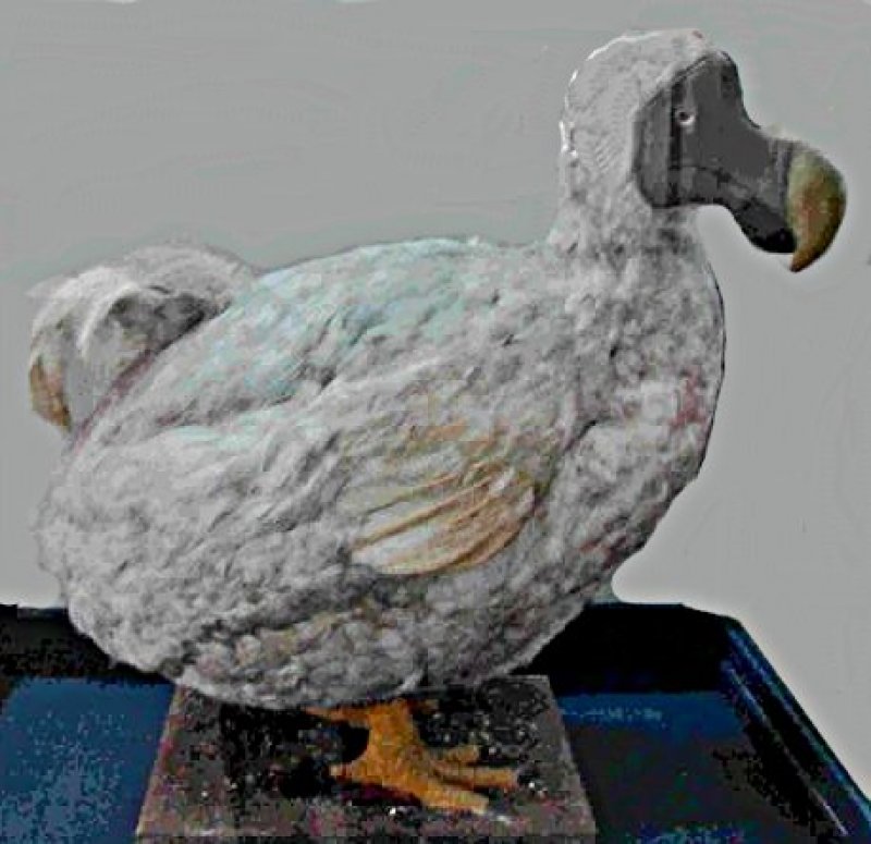 1110l