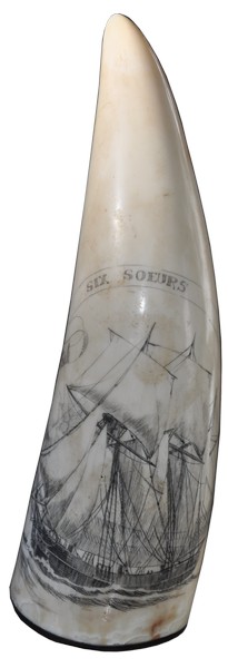 113l