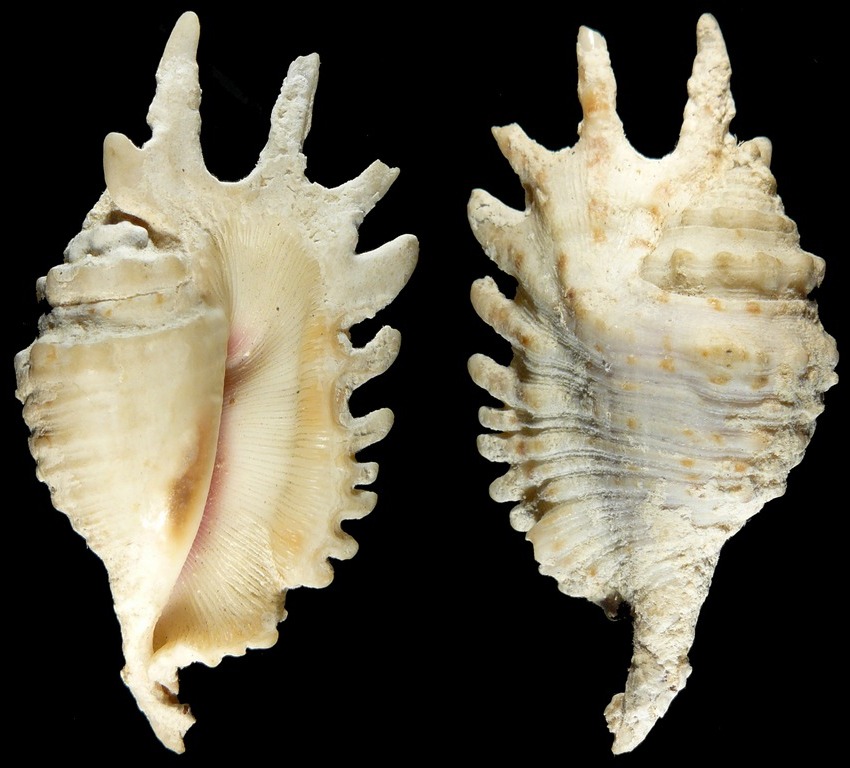 202l