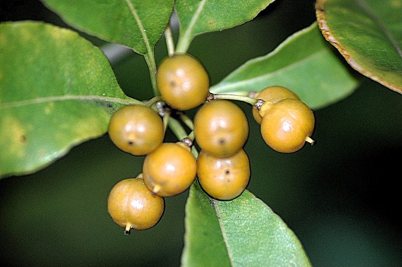 561l