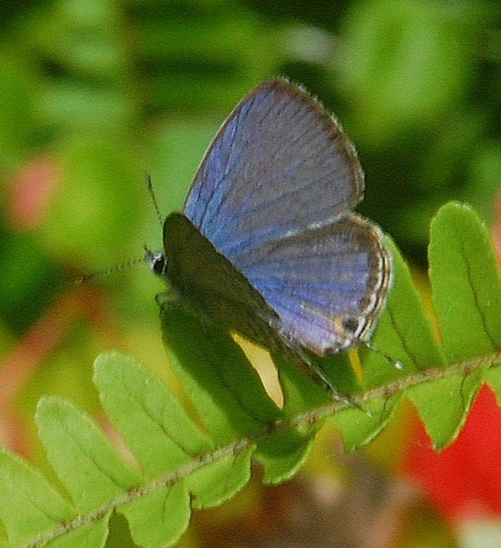 647l