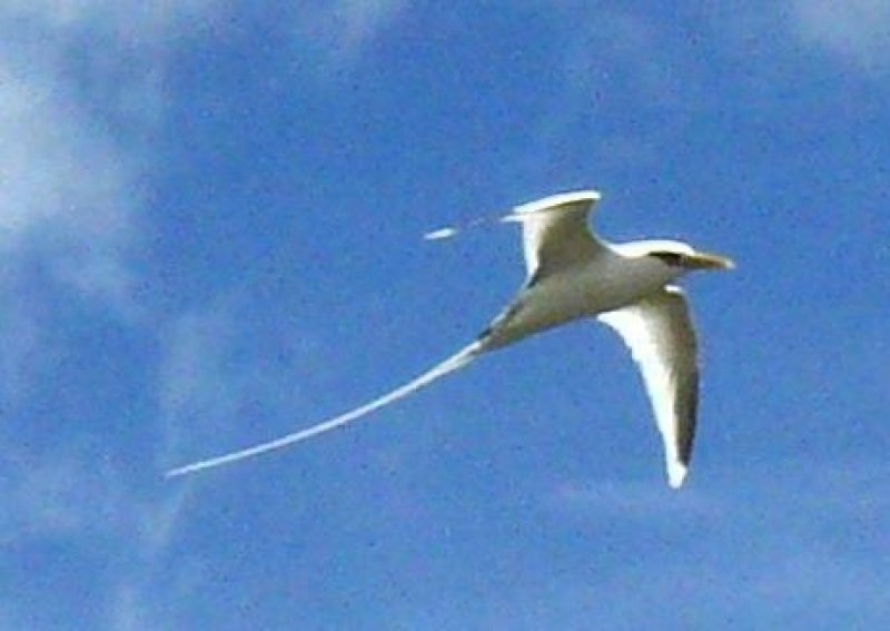 788l