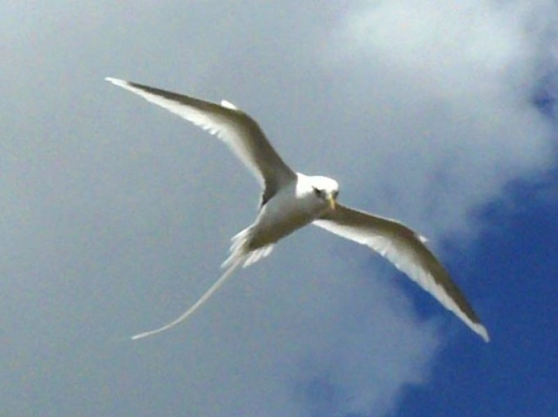 789l