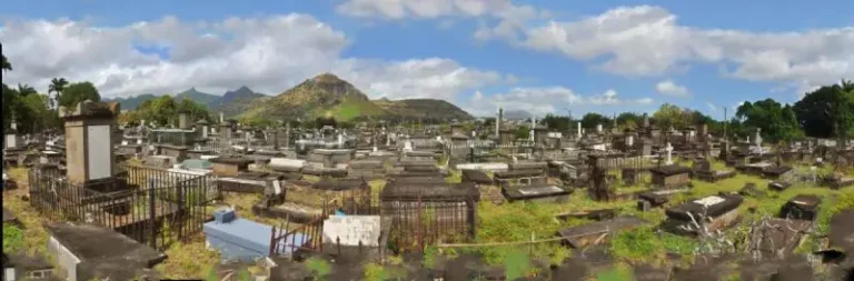 Le Cimetière de l'Ouest